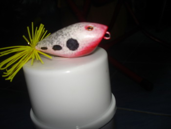 ขนมหวาน(ปลาช่อน)
