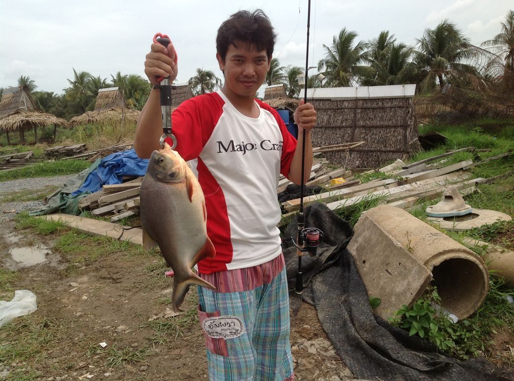 หาที่ตกกระพงไม่ได้ตกบ่อแถวบ้านก็ได้