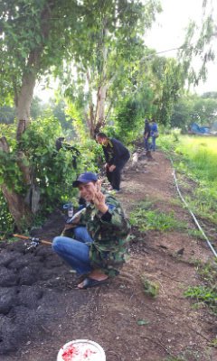 ตามล่าหาชะโด
