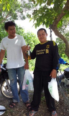 ตามล่าหาชะโด