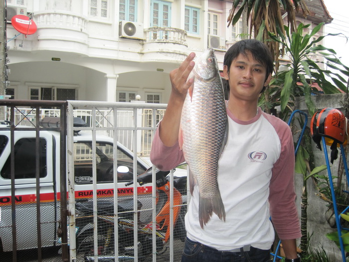 ยี่สกครับ..ตกไว้นานแล้วเพิ่งจะนึกออก