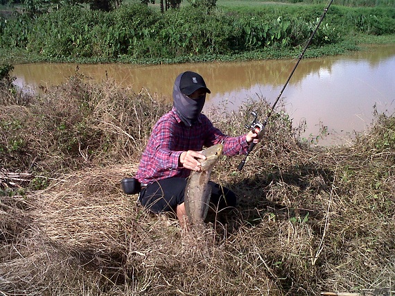 ช่อนใหญ่ที่แพร่ ยามบ่าย