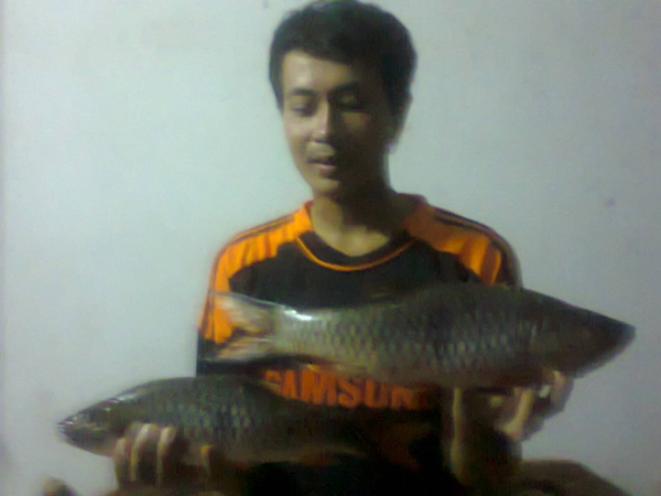 เทสเหยื่อรวมๆ(เก็บวันละนิด 11)