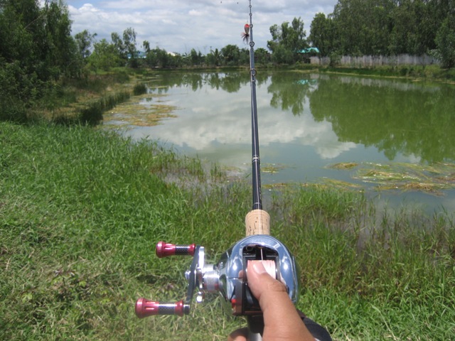 ข้างทางกับ ทอป เวปไทย