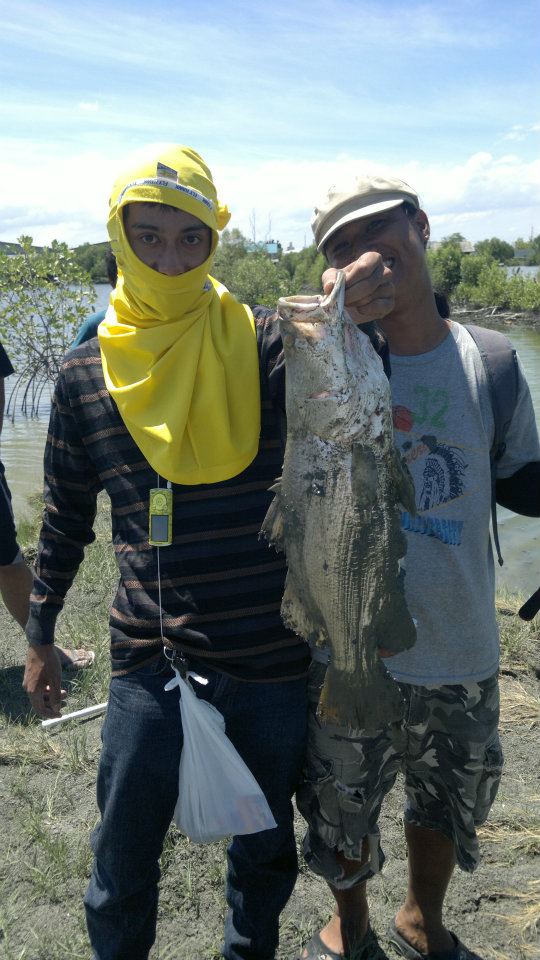 กระพง...บางขุนเทียนลองส่งครับ