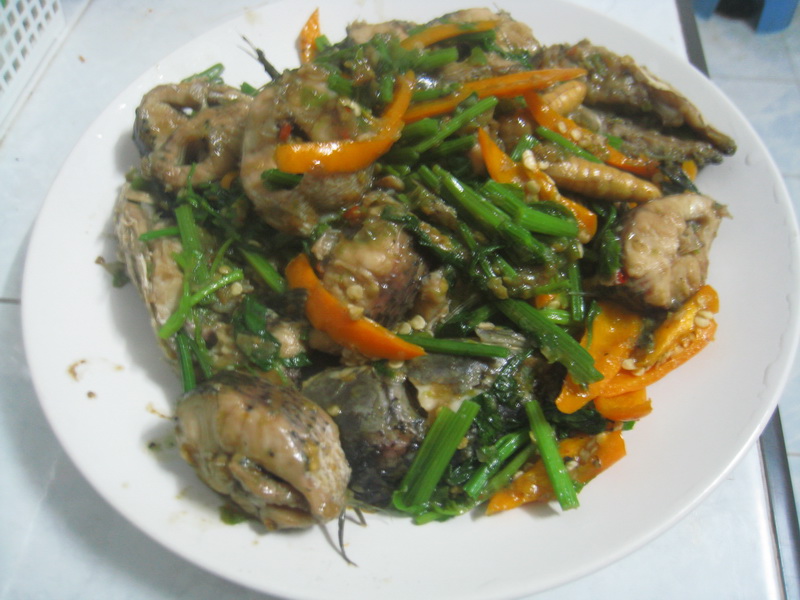 ปลาช่อนสดผัดคื่นฉ่าย (แบบเผ็ดมากกกกก)