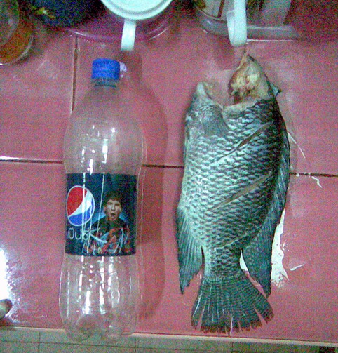 ของจากน้ำท่วมยังไม่หมด