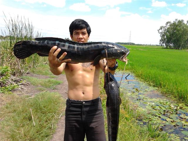 ลองครับ