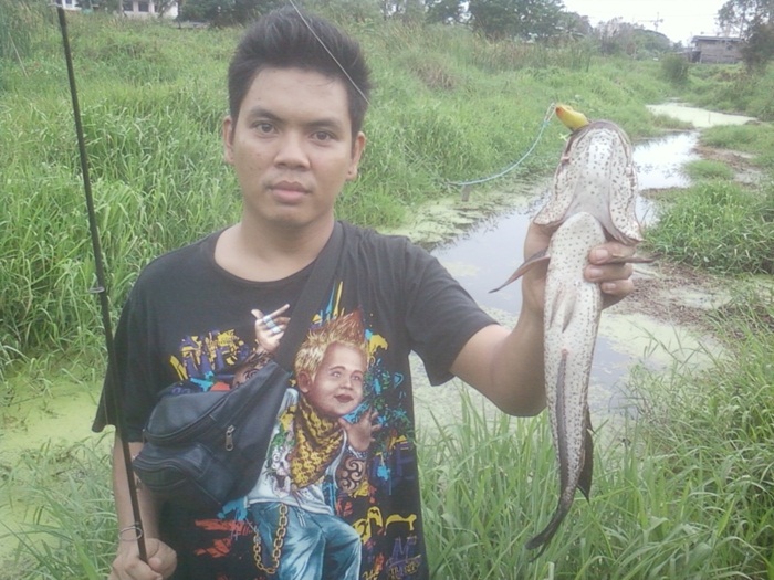 หมายหลงคอหมูย่าง