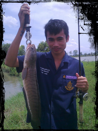 น้องช่อบ้านด่วนและจำเป็น