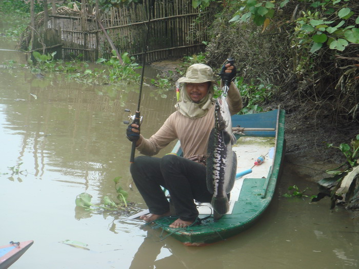 ชะโดแม่น้ำประแสร์