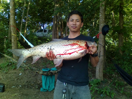 เอารุปปลาอ่างห้วยแก้วพะเยามาฝากคับ