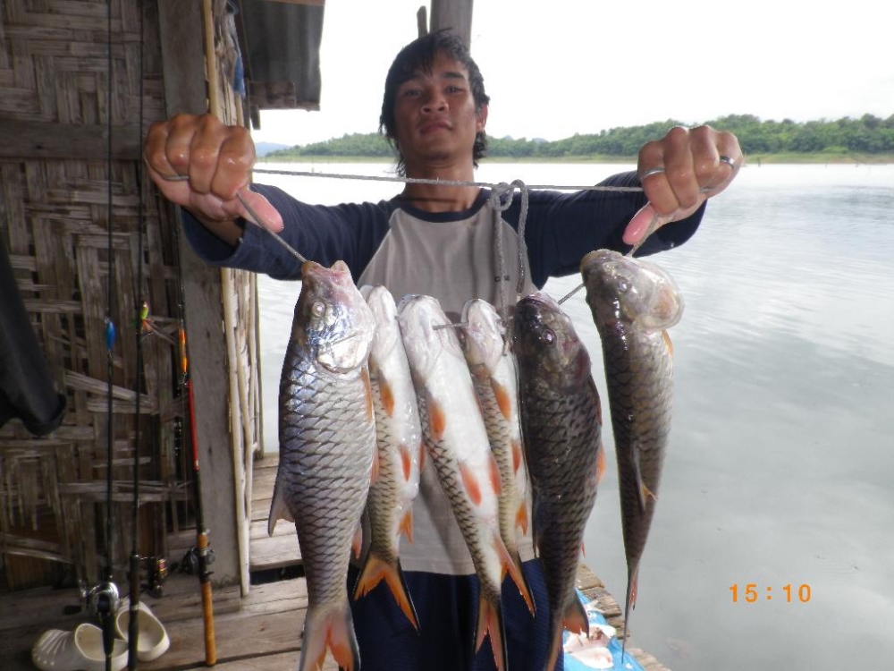 ลุยเขาแหลม