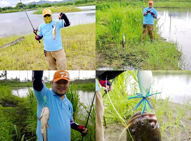 กบ " PAT หัวหิน "