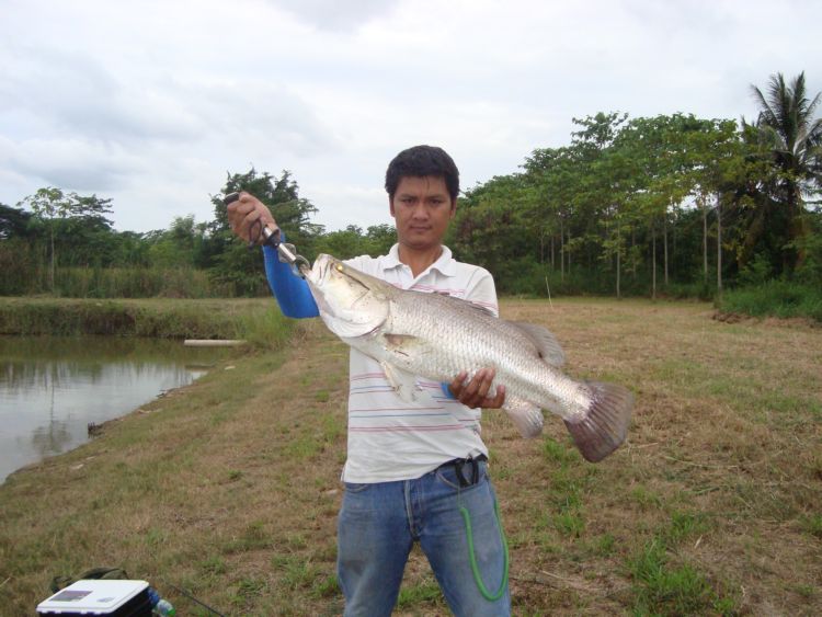 กระพงบ่อลุงเอก
