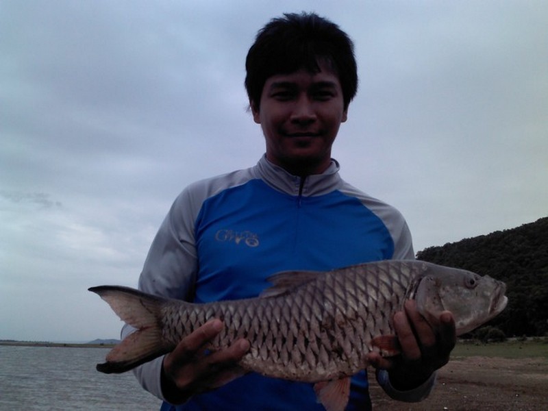 ทดสอบ
