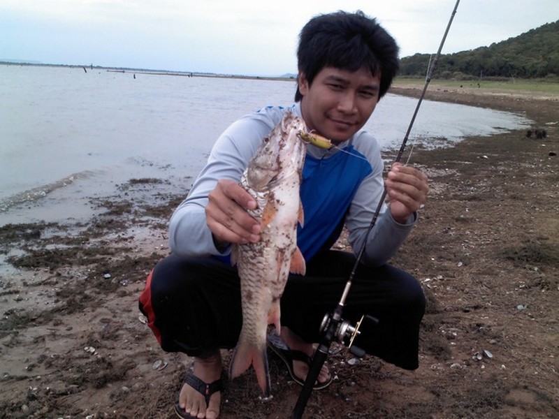 ทดสอบ
