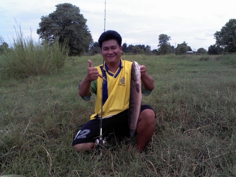ทดสอบ