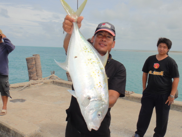 ทดลองส่ง