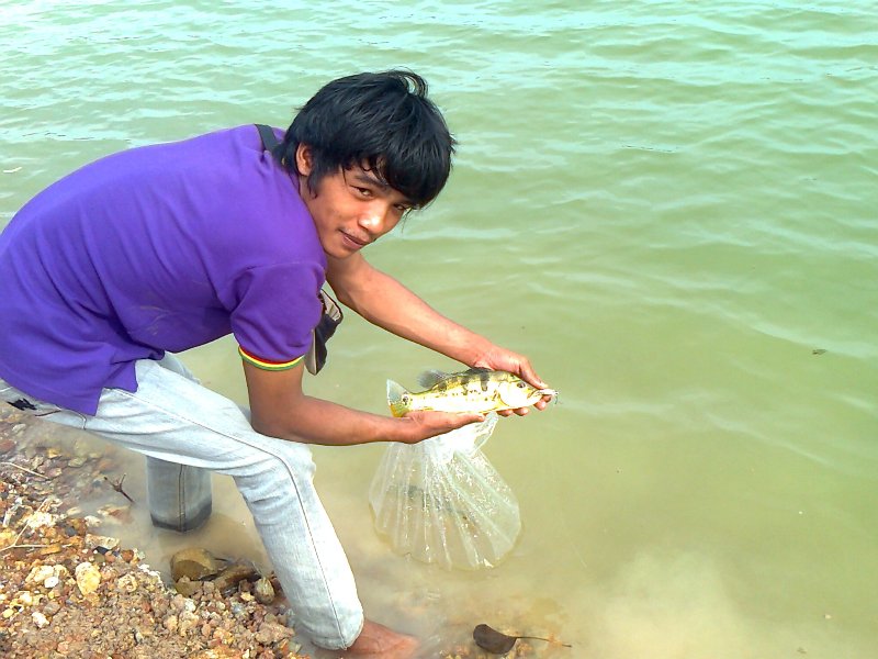 Peacock bass แถวบ้านผมเอง (ระยอง)