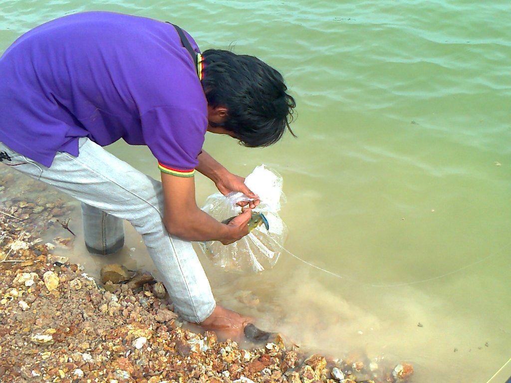 Peacock bass แถวบ้านผมเอง (ระยอง)