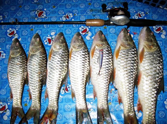 สูบๆ