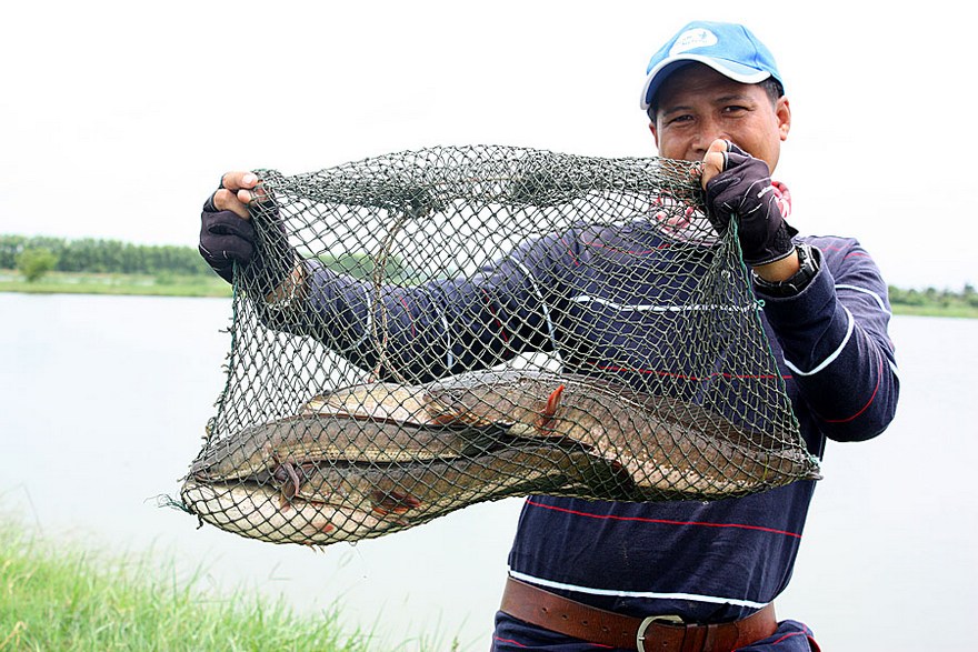 ปลาช่อนบางปลาร้า 26 สิงหา