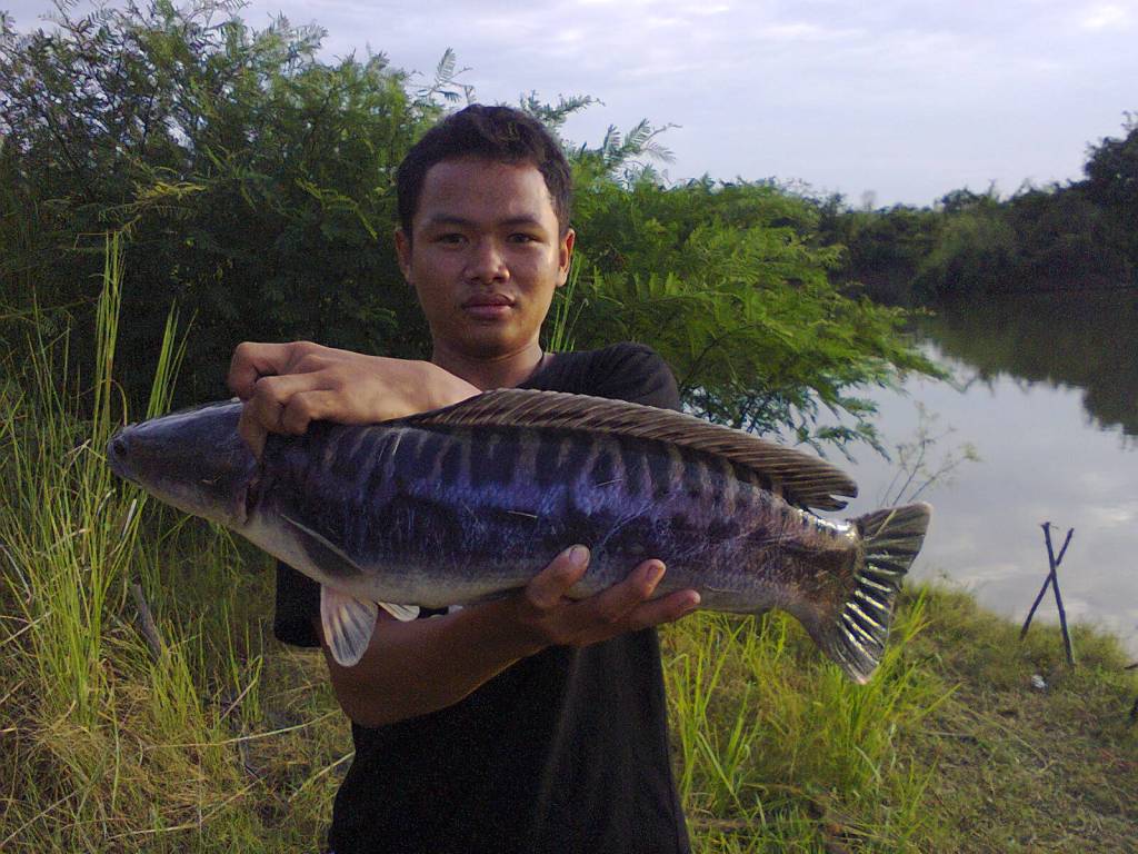 เกือบอด 