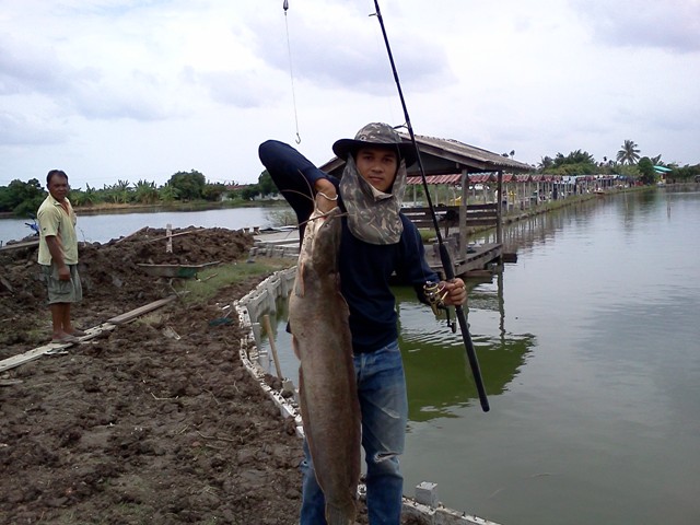 นี่มันปลาดุกยักษ์ชัดๆ