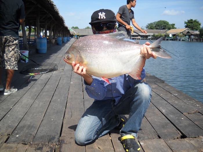 กะโห้จร้าพี่น้อง@บึงสำราญ(ยืมกันเข้าไป^^