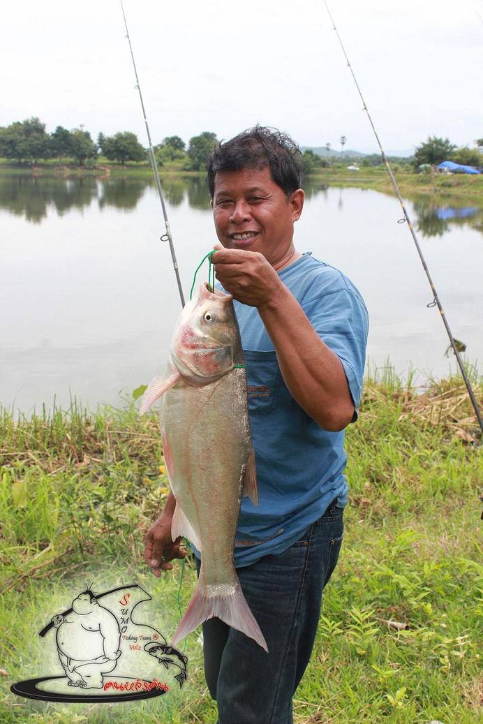 ซูโม่ รุ่นพ่อ ครับ หนองบัวใต้บ้านเกิด