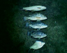 หมายธรรมชาติคลอง 7 วันพักผ่อนอาทิตย์ที่ผ่านมา 05.08.2012
