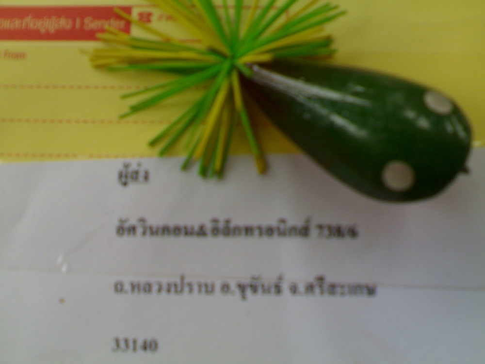 กบอัศวินมาถึงแล้ว