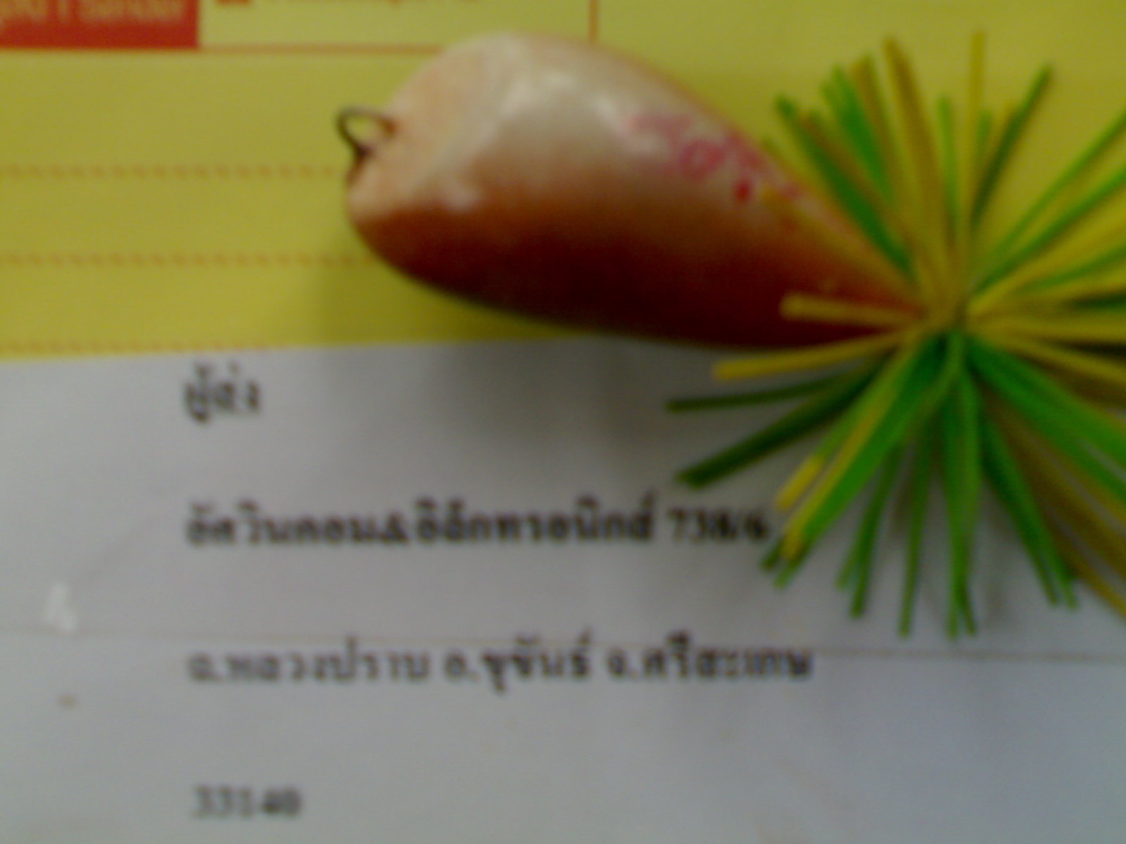 กบอัศวินมาถึงแล้ว
