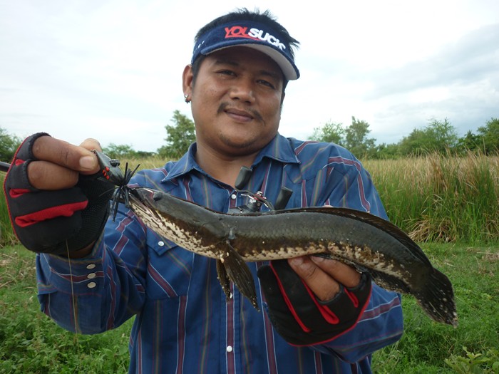 ไปขับรถเล่น เลยลองเหยื่อซะเลย
