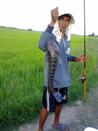 ทีมงานจัดเต็มสูบ