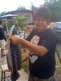 ทีมงานจัดเต็มสูบ