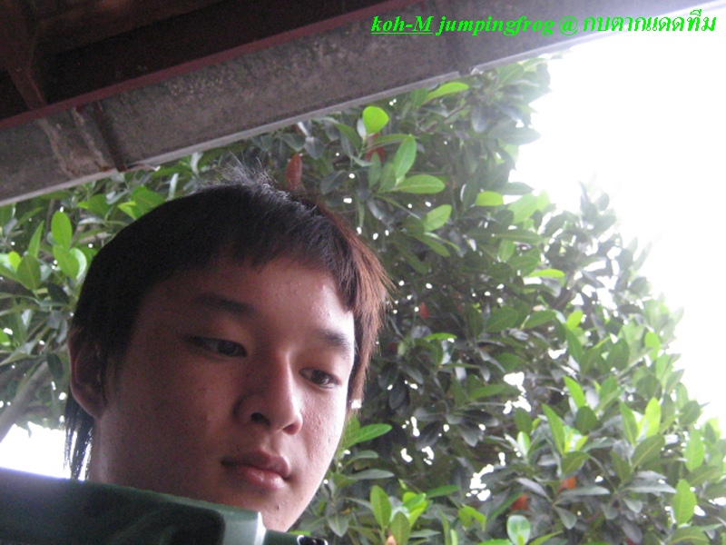 กบโดด (ไม่ยากอย่างที่คิด) 