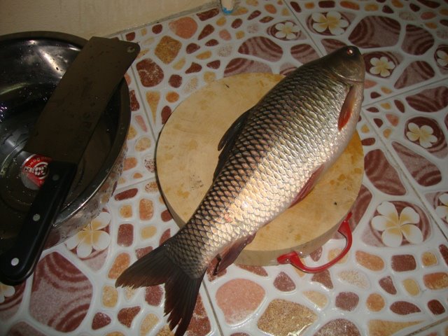 ตกปลายามเย็น(Kavin)