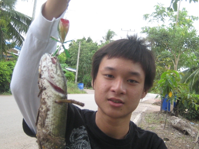 ไปส่งของเลยติดเบ็ดไปครับ (koh-M  jumpingfrog)