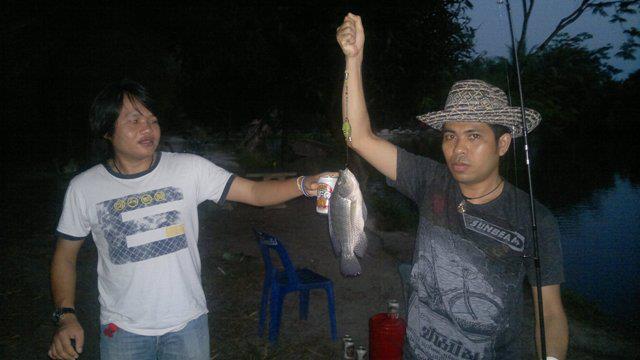 หมายปลานิลรุ่นเผาเกลือ กินดีตอนค่ำๆ(Kavin)