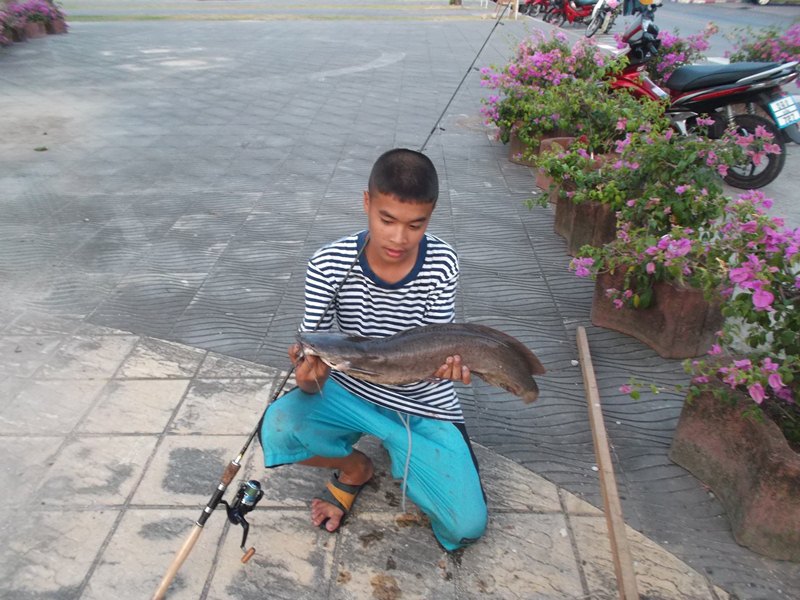 คืนเขาไป ปลาดุกใหญ่ คลองภูเก็ต