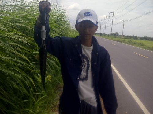3 ทหาร เสือ