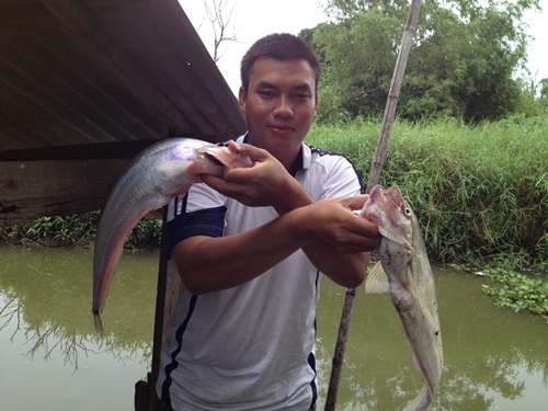 ของดีจากเจ้าพระยาคับ