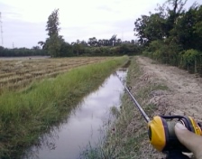 ช่อน ว่างๆ เลิกเรียน ^^^