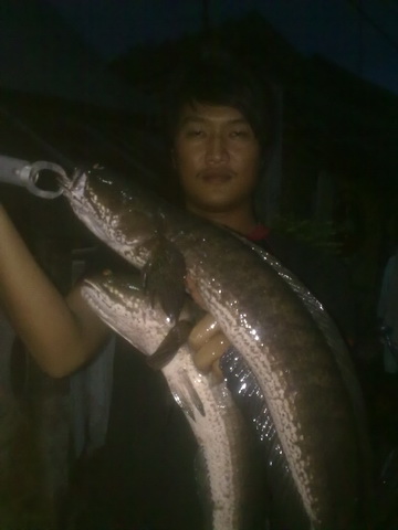 รวมใหญ่