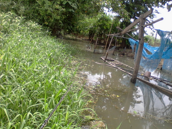 ครองข้างบ่อที่บ้าน