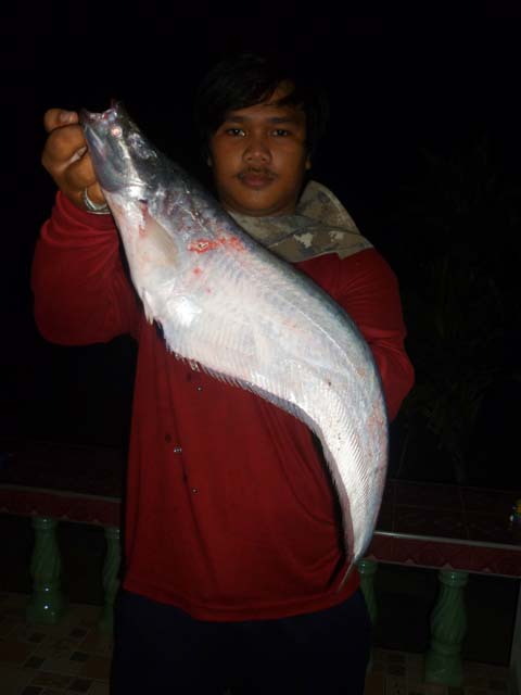 ปลาน้ำเงิน ป่าสัก อยุธยา *-*
