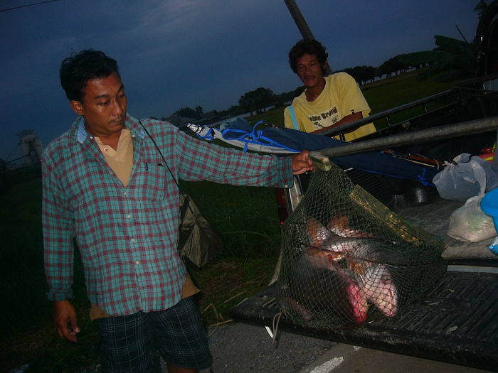 บางไทรๆๆ