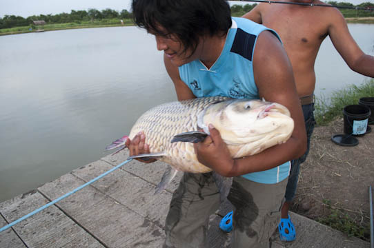 ของเล็กงัดของใหญ่